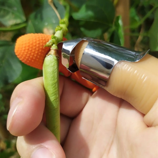 Plockning av rostfritt stål tumskärare för bönor Enkel skörd Bönplockare för jordgubbar paprika 1pc