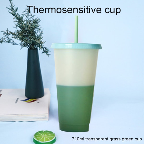 Färgskiftande koppar Återanvändbara tumlare med lock och iskoppar med halm för vuxna barn 710ml Transparent Grass Green