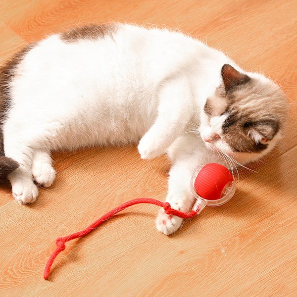 Interaktiv Kattboll Leksak Smart Självrullande Boll Katt Leksak Med Färgglada Ljus För Katt Katter Green