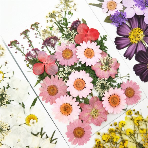 Pressad blomma Handgjorda blandade torkade blommor Material för DIY Aromaterapi Ljus Gratulationskort Epoxi Craft Örhängen 3