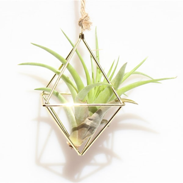 Enkelt Mini Iron Flower Stand Suckulent Blomsterhylla Blomkruka För Desktop Balkong Dekoration Gold With Ring