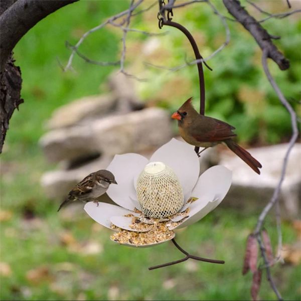 Flower Design Birds Feeder Metal Innovativ matare för att mata fåglar med vatten Fuchsia