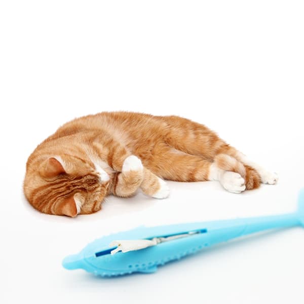 Katt Silikon Delfinformade Molar Leksaker Smart Interaction Mint Pet Leksaker Slipa tänder läcker mat Tuggleksaker Pink