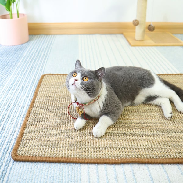 Rectangle Cat Scratching Board Skrapsäker skyddssoffa för liten medelstor katt Weft 40X60cm