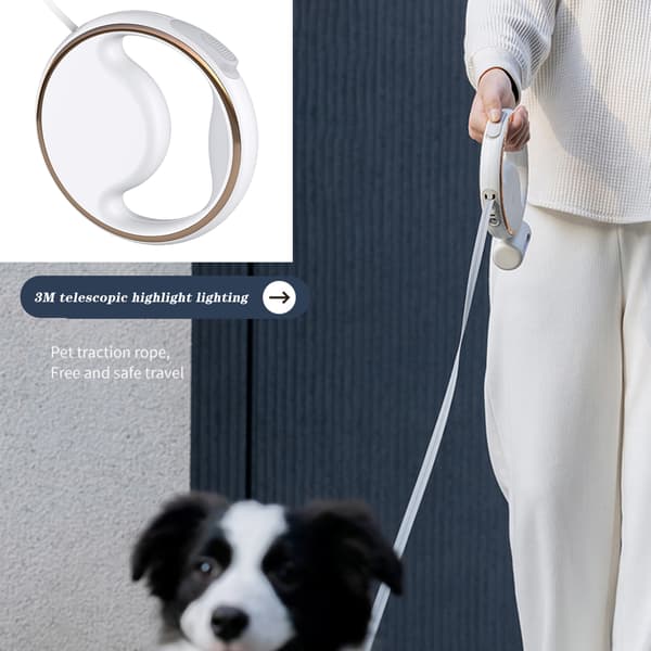 Infällbart hundkoppel med LED-lampor för små medelstora hundar White