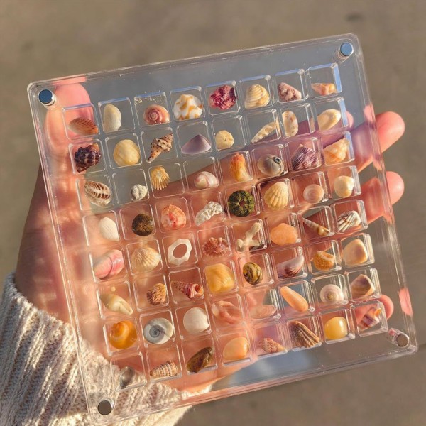 Akryl Seashell Display Box med magneter Slitstark sjöstjärnor Trinket case för pärlspik 36 Grid