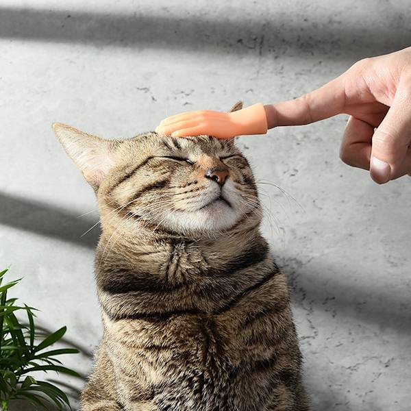 Roliga kattmassagehandskar ​6-delade set Palmformad kostym Cosplayleksak för barn Vuxen 6pcs Set