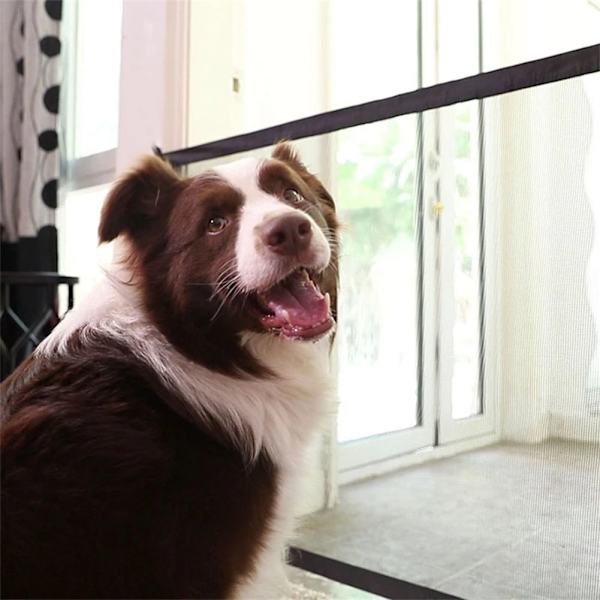 Hushållens Magic Dog Gate justerbar bredd Pet staket trappa skyddsnät White 72*100cm