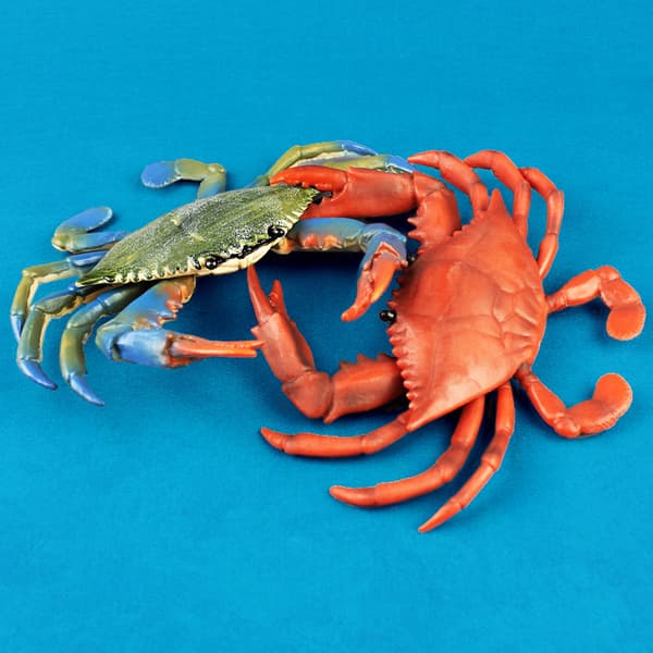 Barnleksak Realistisk Krabba PVC Solid Ocean Havsdjur Figur Modell Barn Present Green   Blue