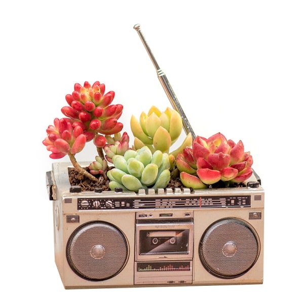Gammaldags retro radioprydnader Elektriska blomkrukor Harts Blomkrukor Suckulenter Blomkrukor Hartsdekoration Radio