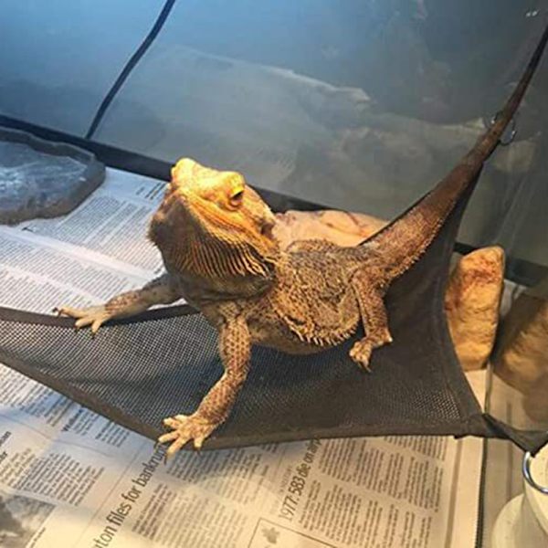 Andningsbara mesh reptilhängmattor Bekväm gunga med kraftfull sugsug Lämplig för ödlorm S