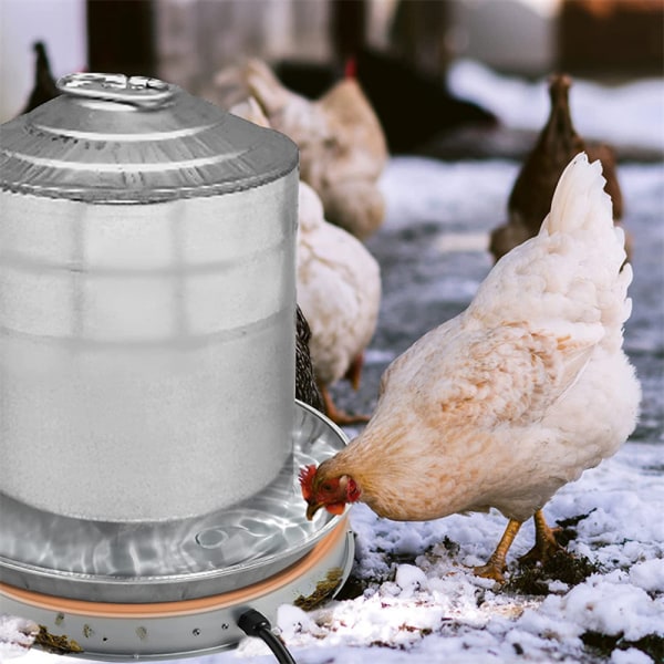 Husfjäderfä varmvattenberedare Ihållande vattenuppvärmning Husdjursverktyg för gård US Plug 38