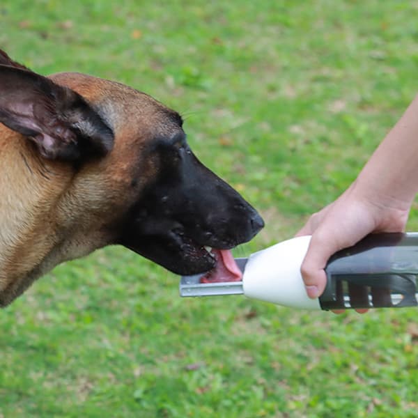 Utomhus Hund Vattenflaska Dra Typ Automatisk Drickskopp Husdjur Resor White