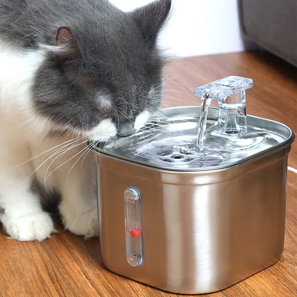 Rostfritt stål Cat Pet Water Fontän Läcksäker matningsvattenmatare för katthundar husdjur Basic Model