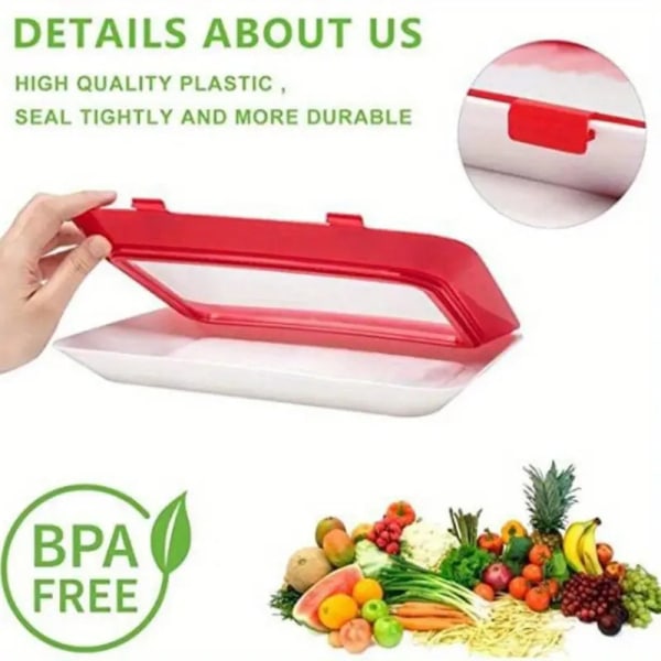 Vakuum enkelsidig konserveringsbricka Stor kapacitet Anti-slip Bento Box för kök 4pcs