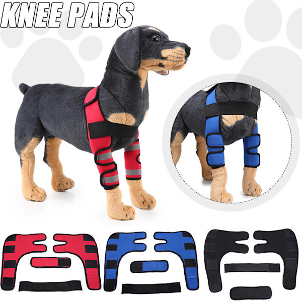 Hundbensskydd för framben, kompressionsbandage, ger extra stöd för hasleden, justerbar, hundvård Blue Three Generations M