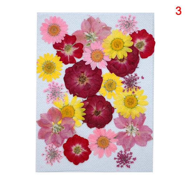 20-25 st/förpackning Riktiga torkade pressade blommor Bladväxt Blandade färgglada blomblad Kronblad För gör-det-själv-hantverk Make-up