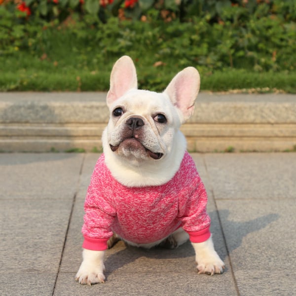 Djurkläder Mjuka, varma andas hundskjorta Sweatshirt Klassisk förtjockningssticka för hundkatt Gray XL