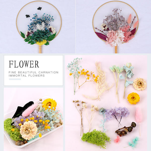 Pressade blommor Blandade torkade blommor Material Gör-det-själv-konst Blomsterdekorkollektion Presenthantverk gör-det-själv-hemdekoration Multicolour
