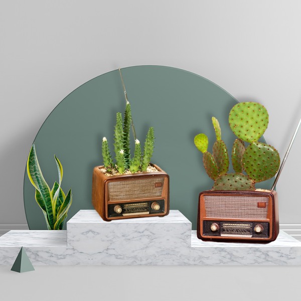 Creative Planter Kruka Retro Radioformad Blomkruka Multi Purpose Resin Succulent Bonsai Planthållare Ornament för kontor Dark Brown