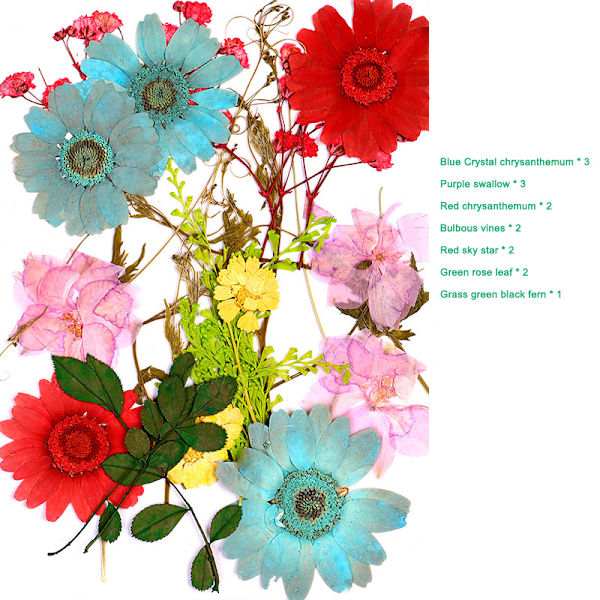 Pressade blommor Blandade torkade blommor DIY Art Blomdekor Collection Gift Craft DIY A-16