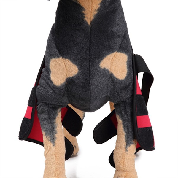 Hundbenets främre ben kompressionsbandage ger extra stöd för hasleden justerbar hund husdjursvård Black Three Generations M