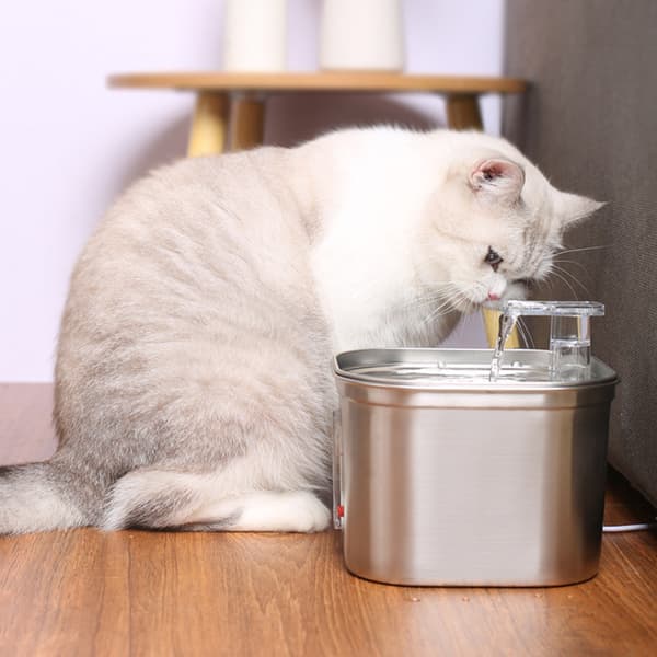 Rostfritt stål Cat Pet Water Fontän Läcksäker matningsvattenmatare för katthundar husdjur Basic Model