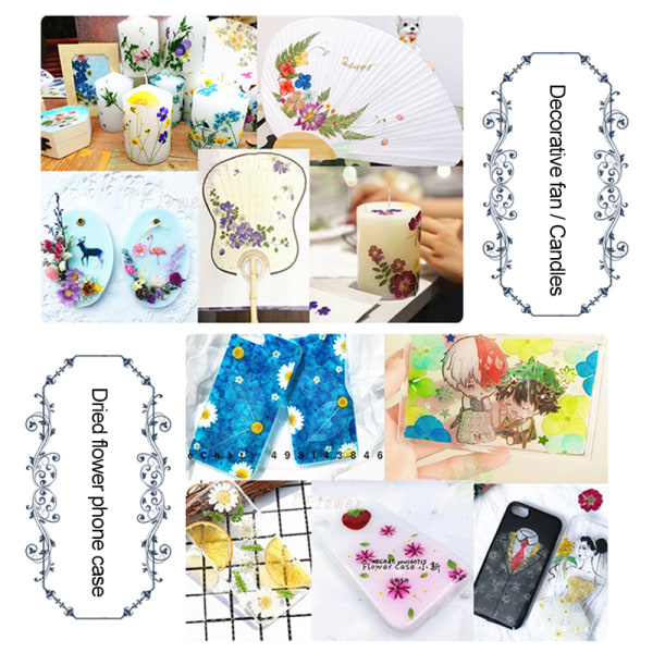 Pressad blomma Handgjorda blandade torkade blommor Material för DIY Aromaterapi Ljus Gratulationskort Epoxi Craft Örhängen 16