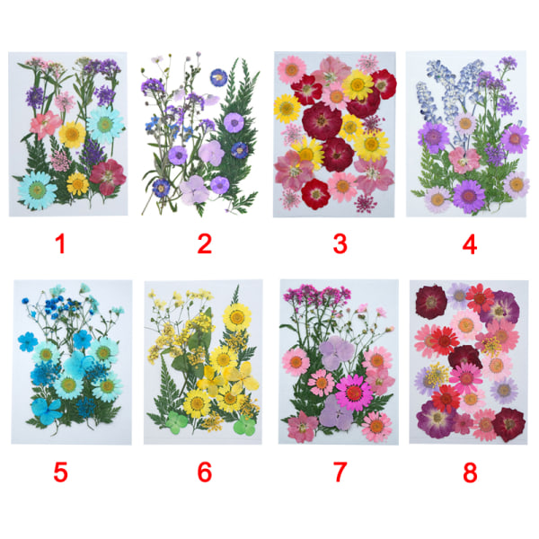 20-25 st/förpackning Riktiga torkade pressade blommor Bladväxt Blandade färgglada blomblad Kronblad För gör-det-själv-hantverk Make-up
