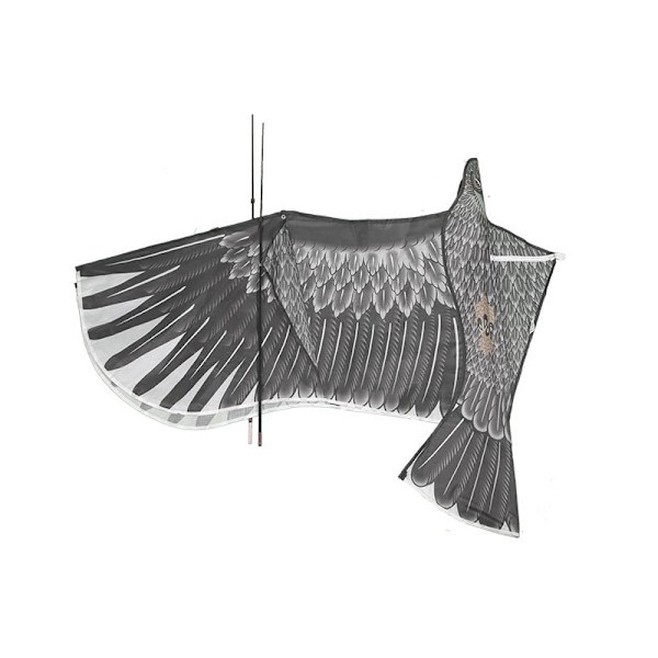 Djurdrakar, 1.5m
