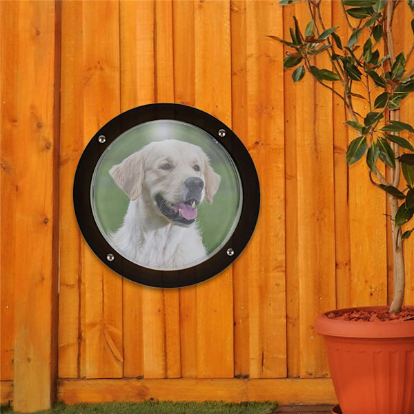 Hundstaket Fönster frisikt Kupol Pet Peek-fönster Extra stor storlek för hund Katt Häst även barn White Transparent