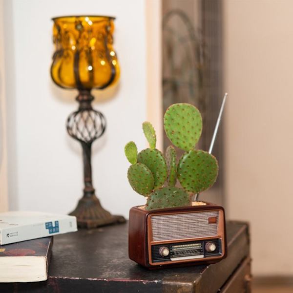 Creative Planter Kruka Retro Radioformad Blomkruka Multi Purpose Resin Succulent Bonsai Planthållare Ornament för kontor Dark Brown