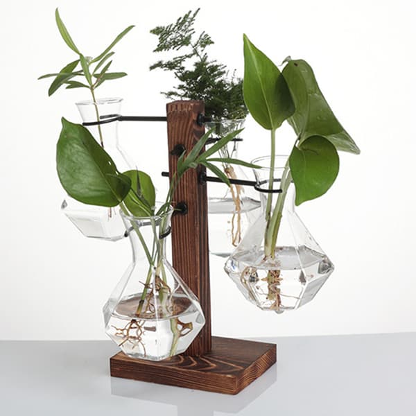Kreativitet Hydroponic Basin Ram Utsökt Minimalistisk Hydroponic Hållare För Vardagsrum Spherical