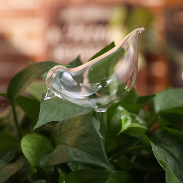 Söt automatisk blombevattningsanordning Glas självbevattningsstakar Växtglasvattenbehållare Automatisk bevattning Vattenklot Snail A