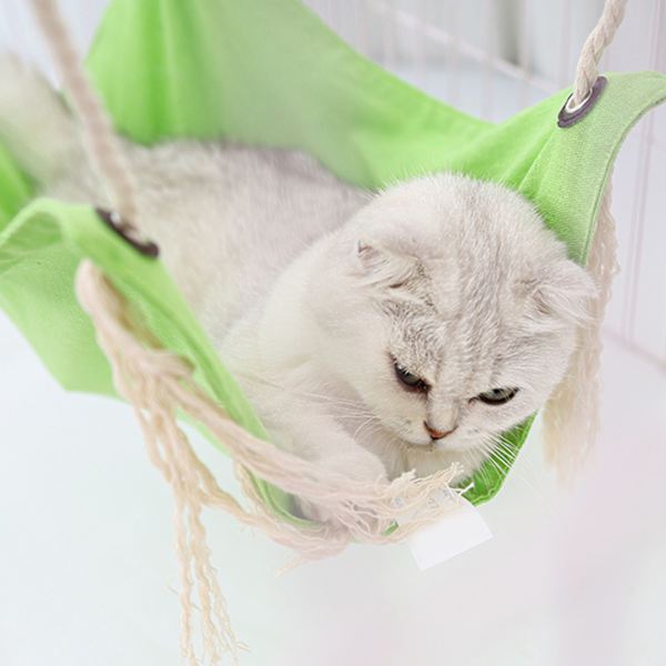 Cat Hängmatta Hängande Mjuk Andas Säng Tofs Dekor För Små Djur Khaki