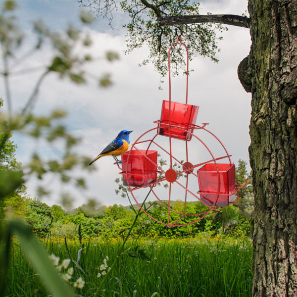 Pariserhjul Hummingbird Feeder Creative Birds Matförvaringsverktyg för utomhusträdgårdsdekoration Red