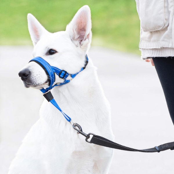 Husdjur Hundar Munkorg Dragband Slitstarkt Bittåligt Cover för utomhusbruk Black XL