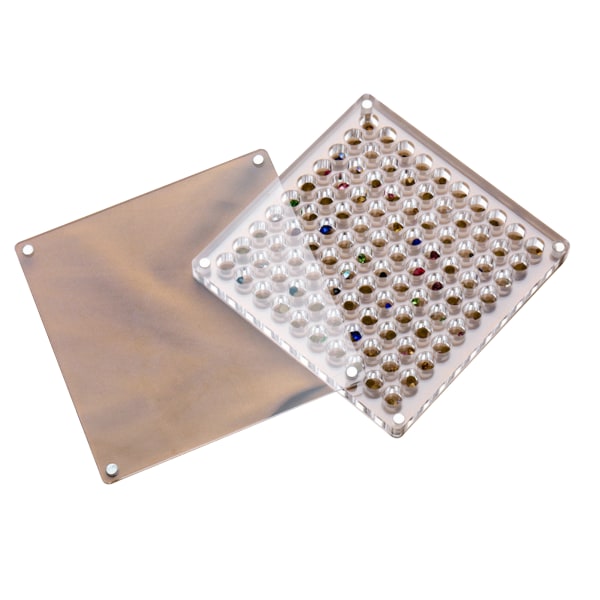 Akryl Magnetisk Seashell Display Box Multi-purpose Craft Dekorativt ställ för ädelstenar