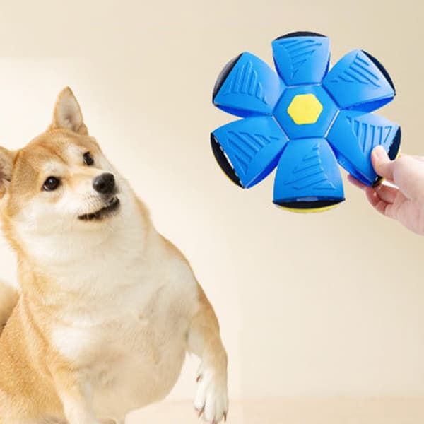 Hund studsande boll leksak Stomp Pet Interactive Flying Discs leksak med ljus för utomhusbruk Blue 6 Lights