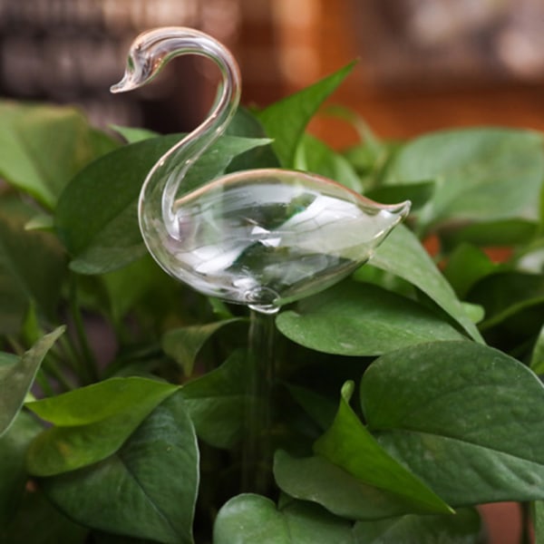 Söt automatisk blombevattningsanordning Glas självbevattningsstakar Växtglasvattenbehållare Automatisk bevattning Vattenklot Snail A