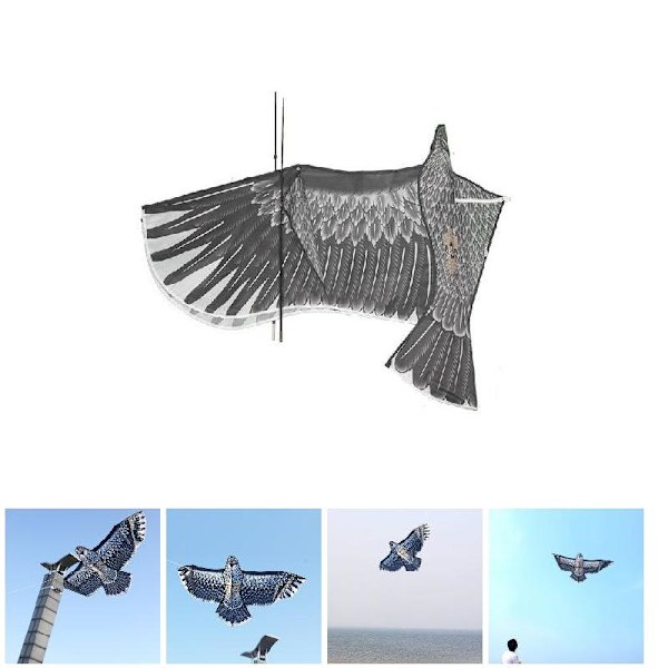 Djurdrakar, 1.8m