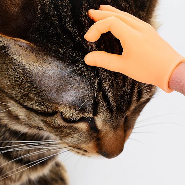 Roliga kattmassagehandskar ​6-delade set Palmformad kostym Cosplayleksak för barn Vuxen 6pcs Set