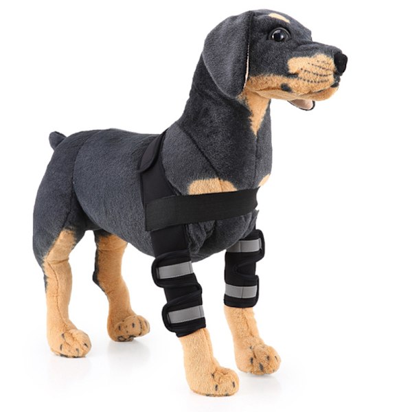 Hundbensskydd för framben, kompressionsbandage, ger extra stöd för hasleden, justerbar, hundvård Red Second Generation L