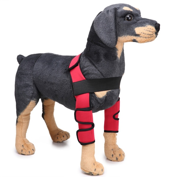 Hundbensskydd för framben, kompressionsbandage, ger extra stöd för hasleden, justerbar, hundvård Red Second Generation L
