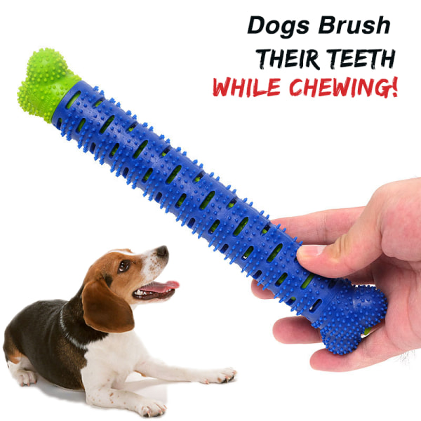 Hundtandborste Stick Pet Molar Tooth Cleaner Borststick Chew Toy Tandvård