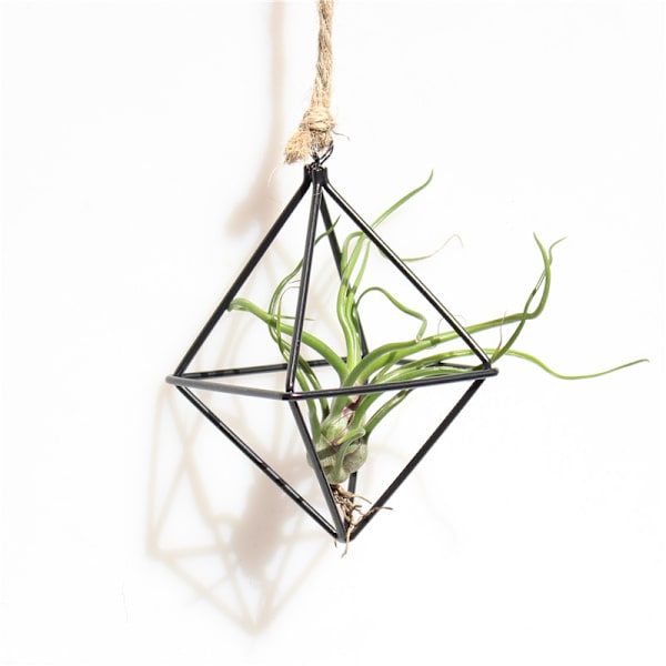 Enkelt Mini Iron Flower Stand Suckulent Blomsterhylla Blomkruka För Desktop Balkong Dekoration Gold With Ring