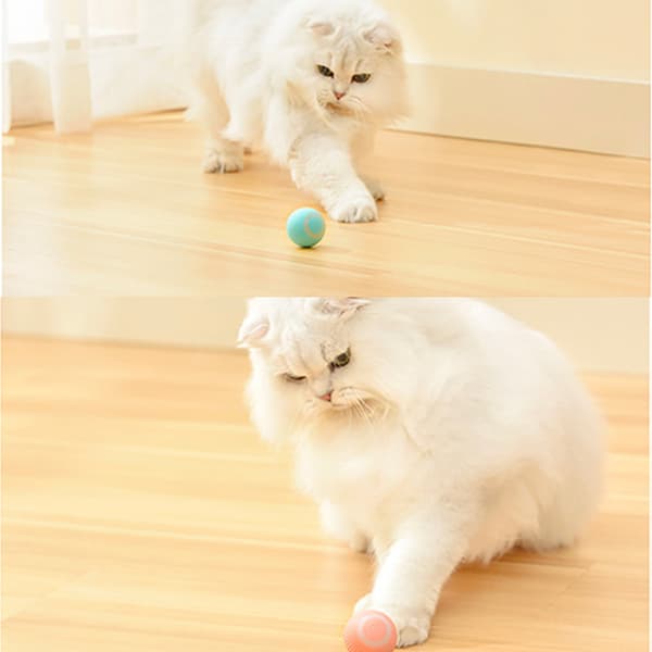 Cat Smart Ball Toy Electric Catnip Sounding Cat Interactive Rolling Playing Ball Green