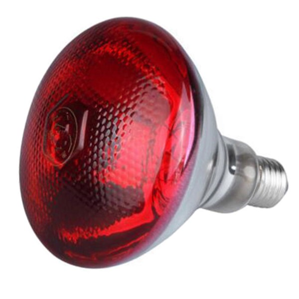E27 Infraröd Värmelampa för Kycklingar 220V 100-275W Röd Värmelampa Glödlampa Värmeljus Glödlampa för Uppfödning Hönshus Kycklingar Husdjur Reptil 275W