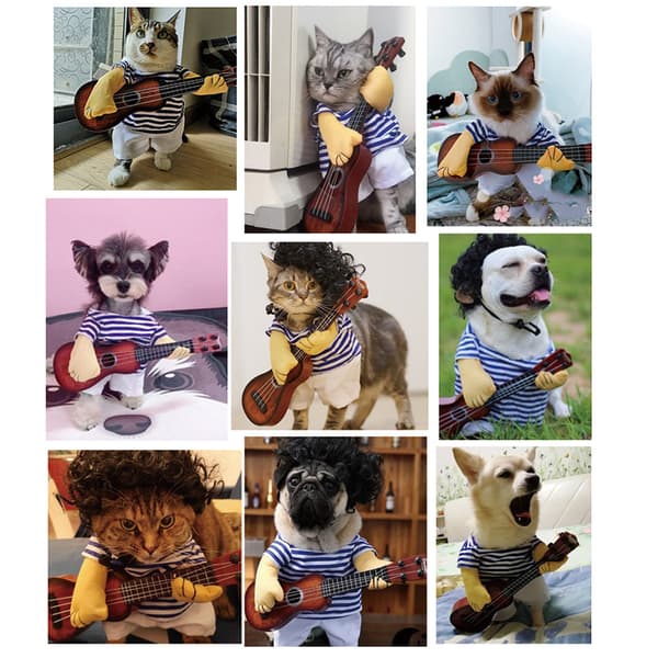 Pet Gitarr Kostym Rolig Sångare Katt Valp Cosplay kläder för Halloween M