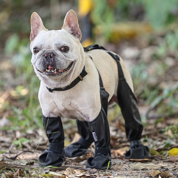 Husdjur utomhus vattentäta hängselstövlar Universal Anti-Dropping Pet Paw Skor för liten medelstor hund S